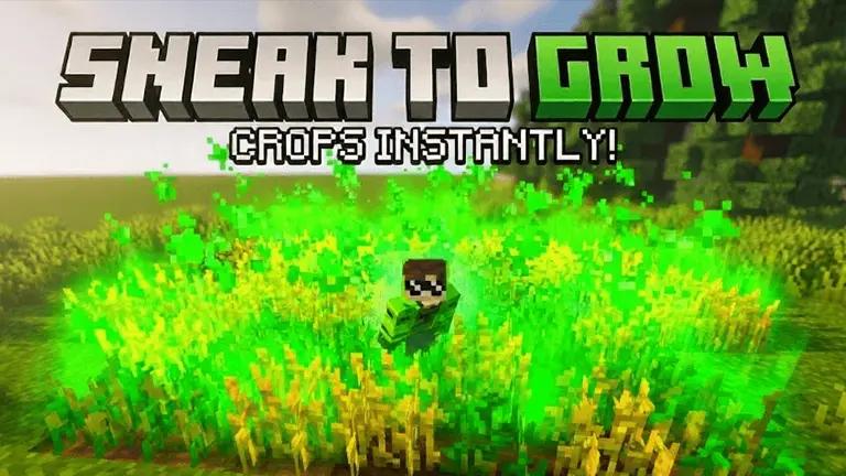 Sneak to Grow